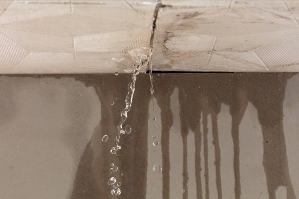 Professional Water Damage Repair technician working in Rimforest, CA